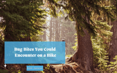 Bug Bites You Could Encounter on a Hike