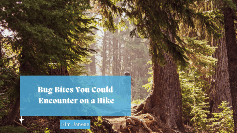 Bug Bites You Could Encounter on a Hike