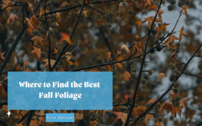 Where to Find the Best Fall Foliage